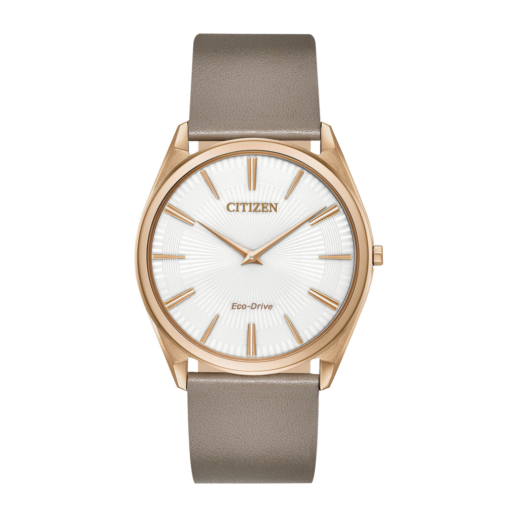 Reloj CITIZEN AR3076-08A, vista 01