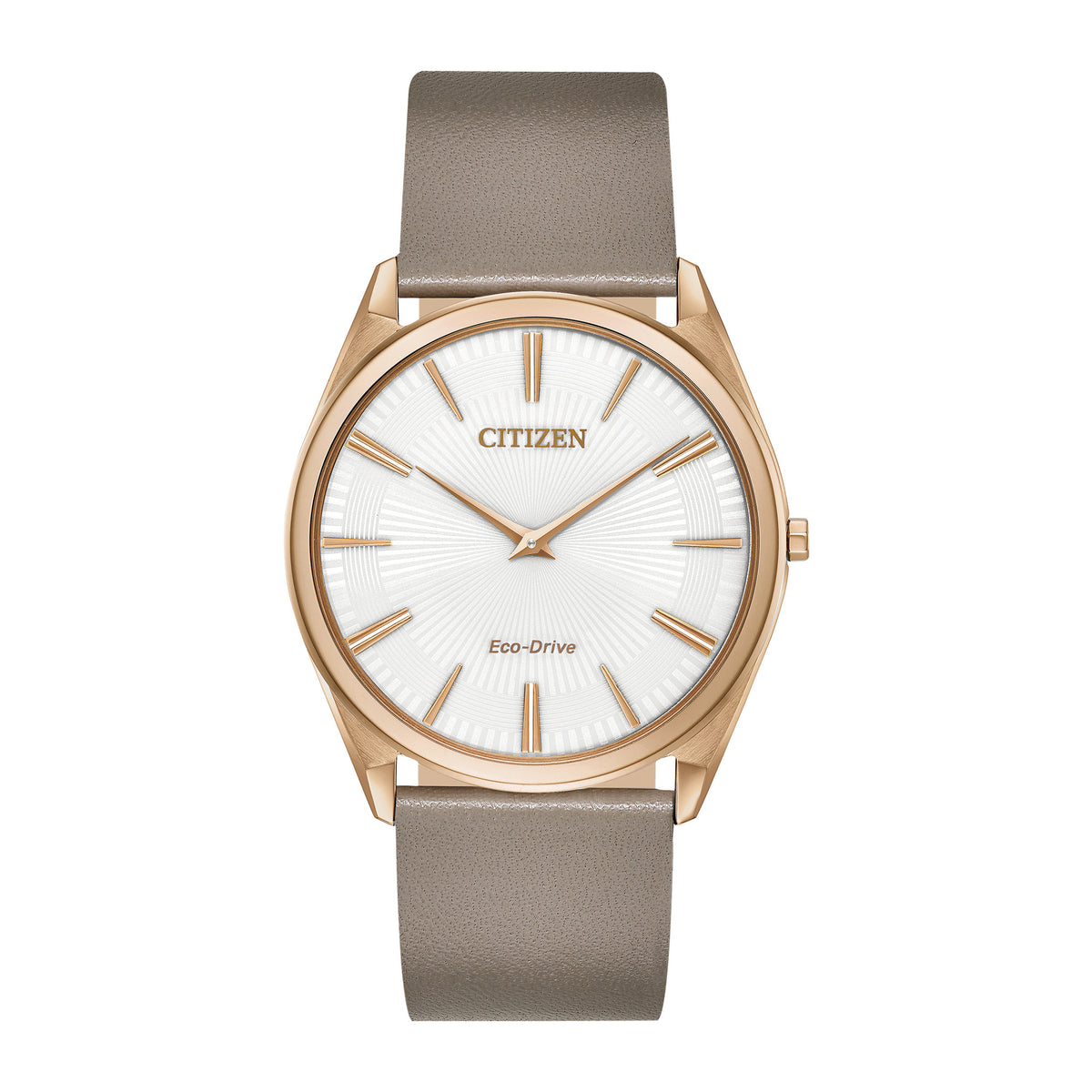Reloj CITIZEN AR3076-08A, vista 01