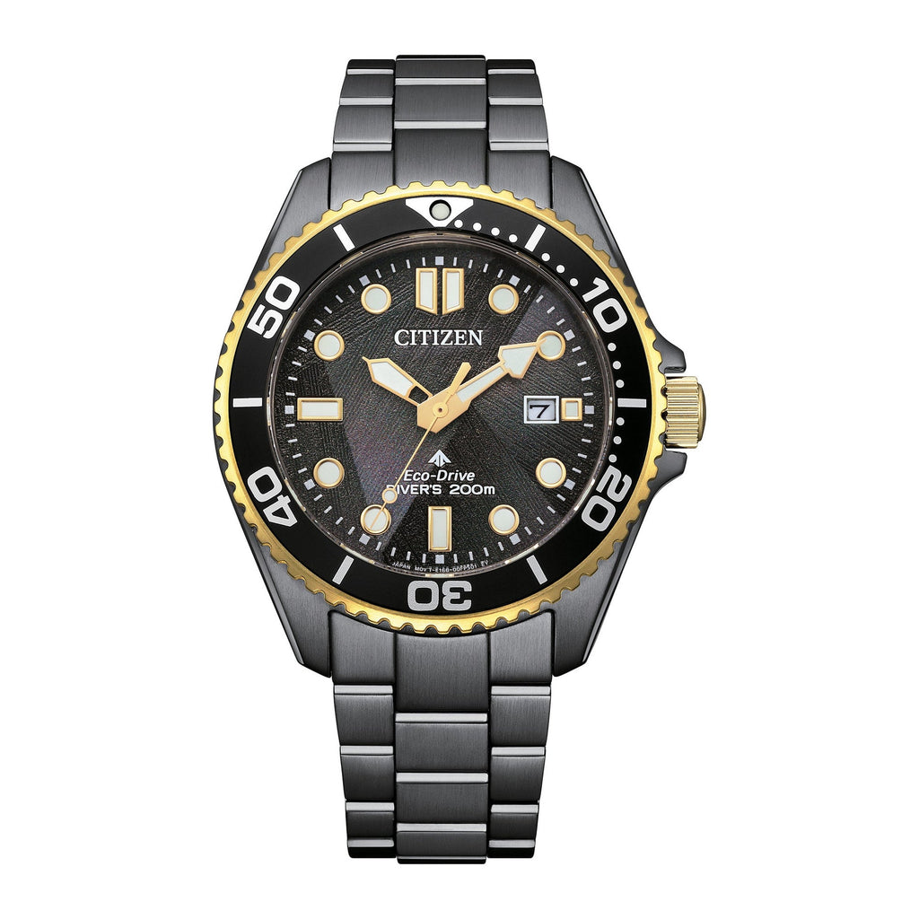 Reloj CITIZEN BN0264-53E, vista 01