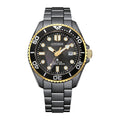 Reloj CITIZEN BN0264-53E, vista 01