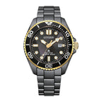Reloj CITIZEN BN0264-53E, vista 01