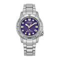 Reloj CITIZEN EO2027-50X, vista 01