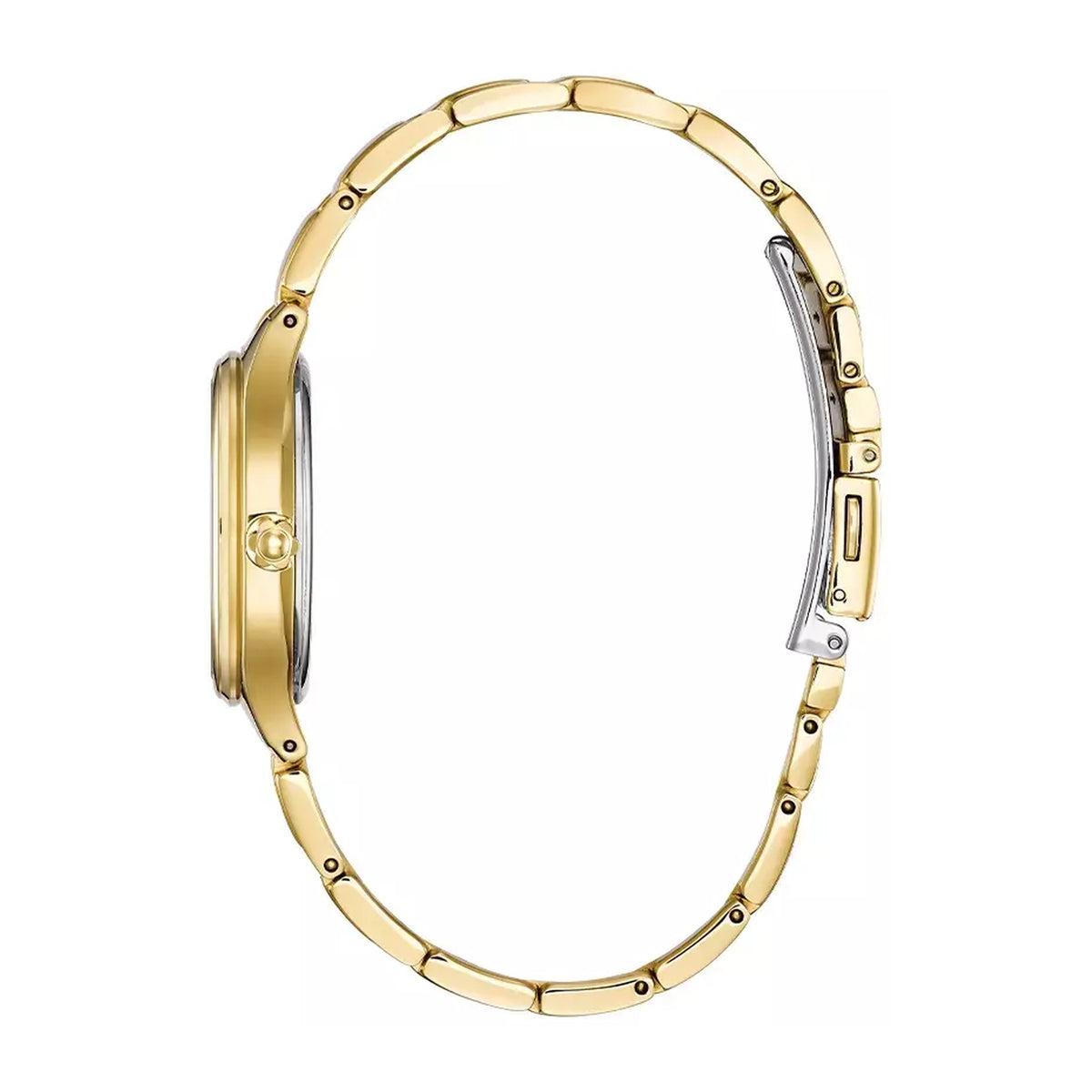 Reloj CITIZEN FE2102-55A, vista adicional