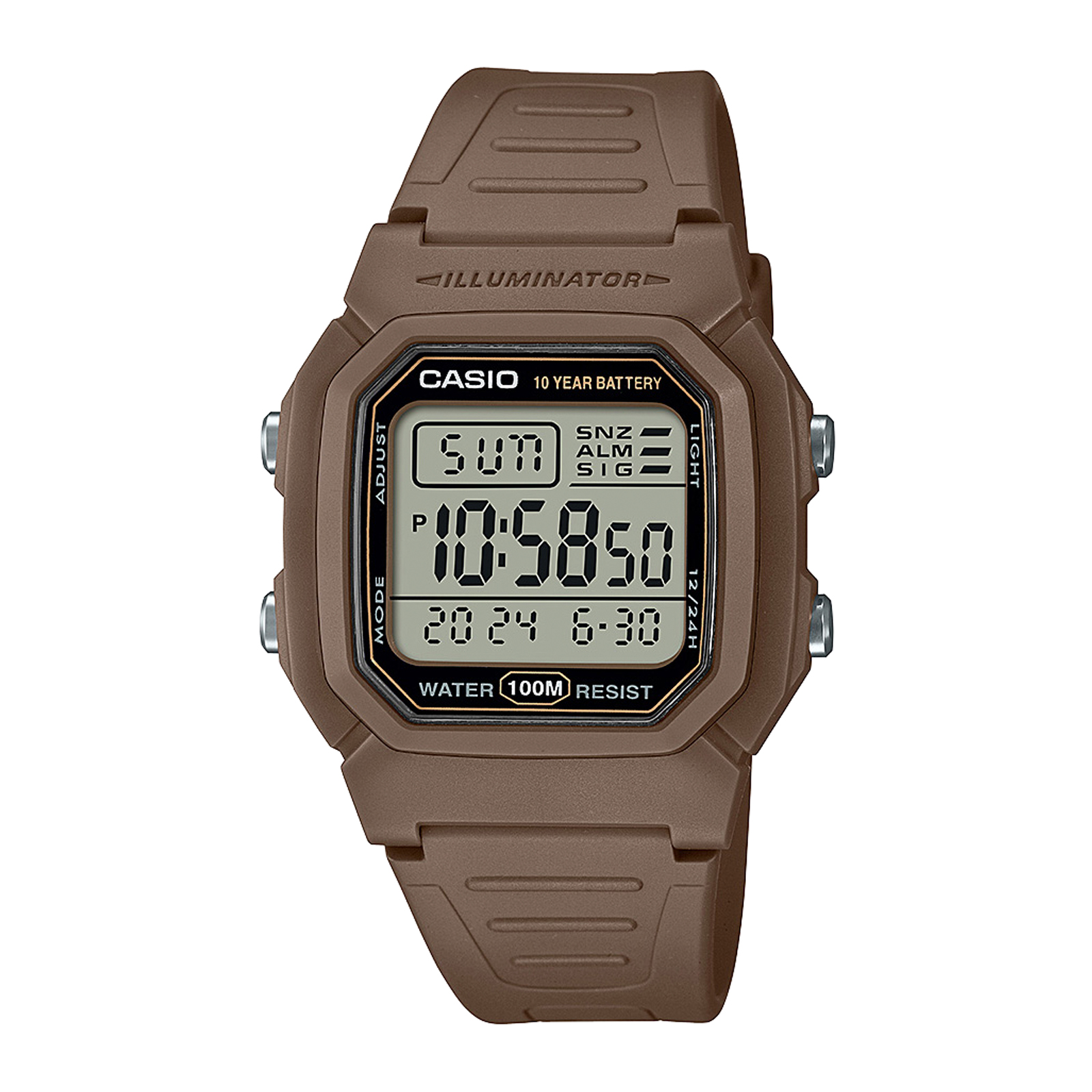 Reloj CASIO W-800H-5AVDF Resina Juvenil Marron